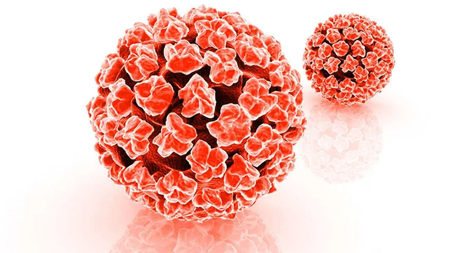 hpv thumbnail