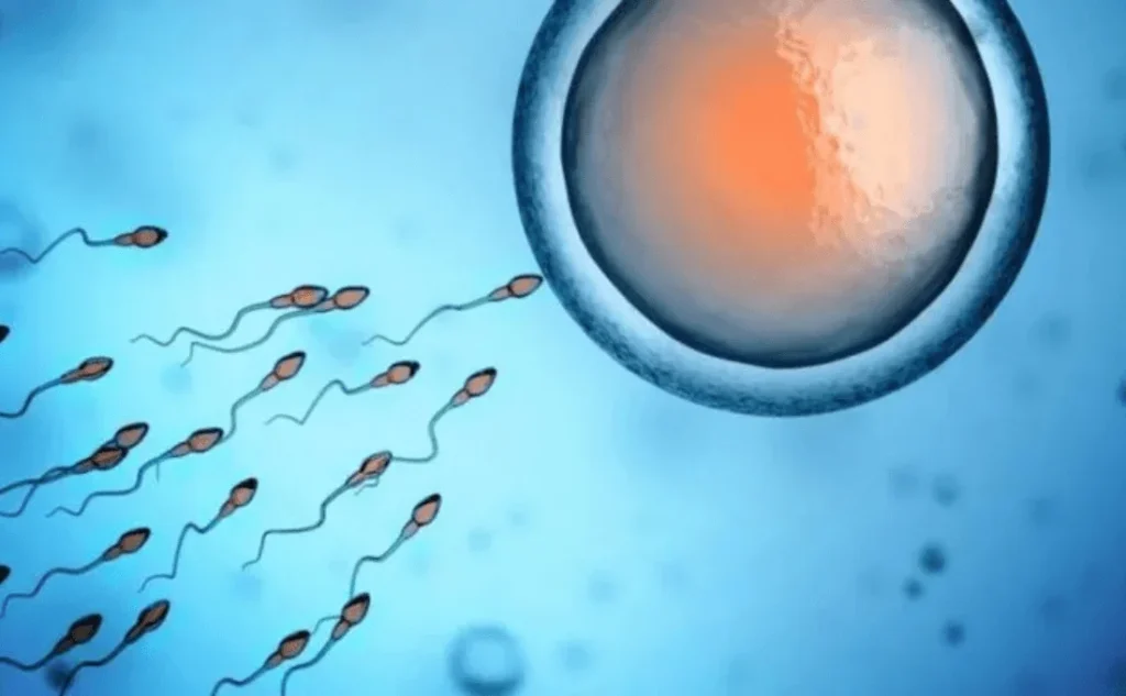 Hülya Kula Fotoğraf -69