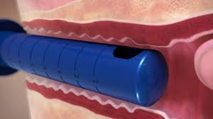 Hülya Kula Fotoğraf -71